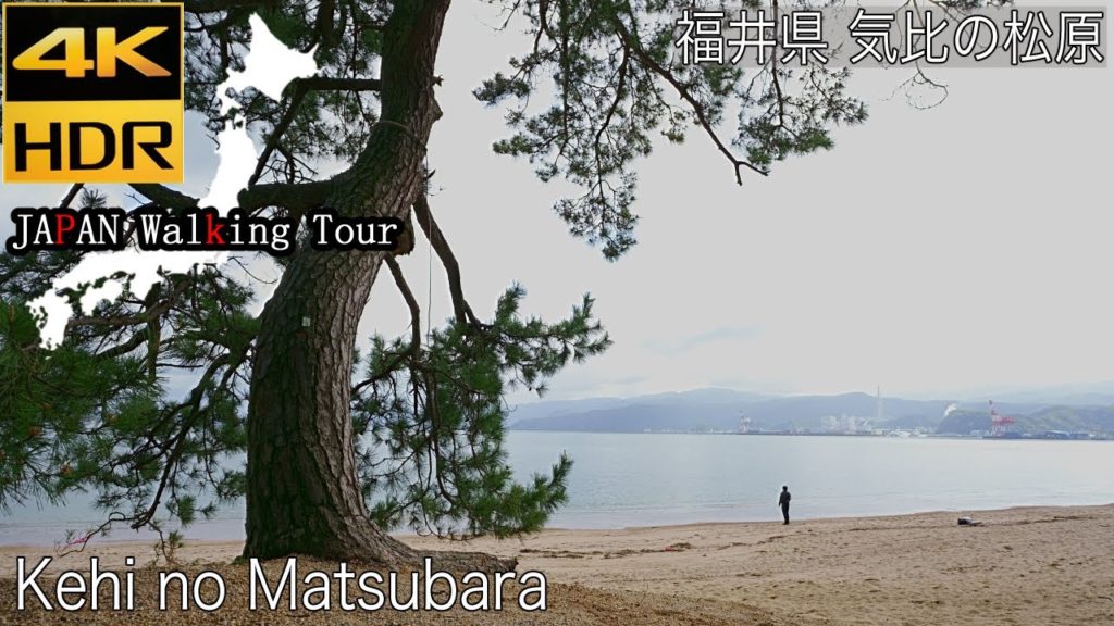 [4K HDR] Kehi no Matsubara, Tsuruga ,Fukui | 福井県敦賀市 気比の松原