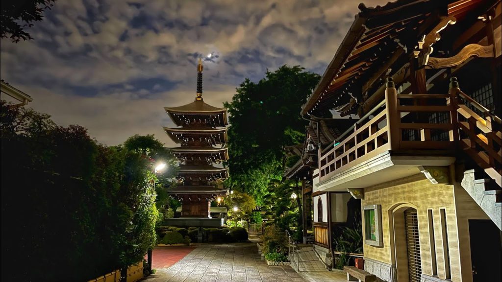 Tokyo Quiet Evening Walk - Futako Tamagawa to Den En Chofu 二子玉川から田園調布までの散歩