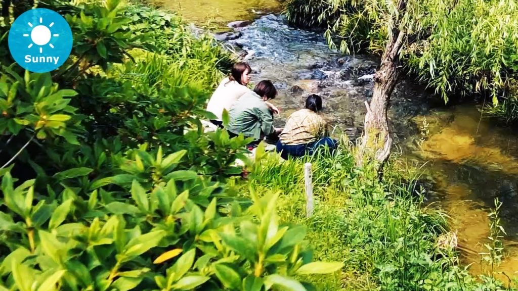 Yamaguchi: Yamaguchi (山口市) - Japan Walking Tour (May 10, 2021)