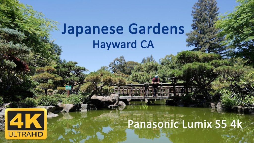 Japanese Gardens Hayward CA - Panasonic Lumix DC-S5