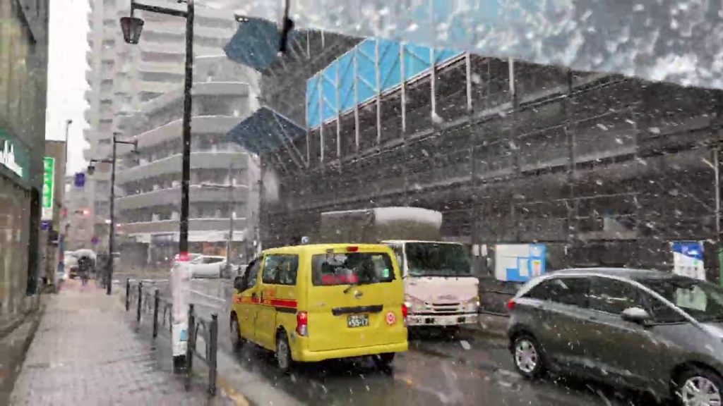 Snowfall in Tokyo 28th of January 2021(First snow this year )東京の降雪,東京で雪が降る Snowfall in Tokyo 28th of January 2021(First snow this year )東京の降雪,東京で雪が降る