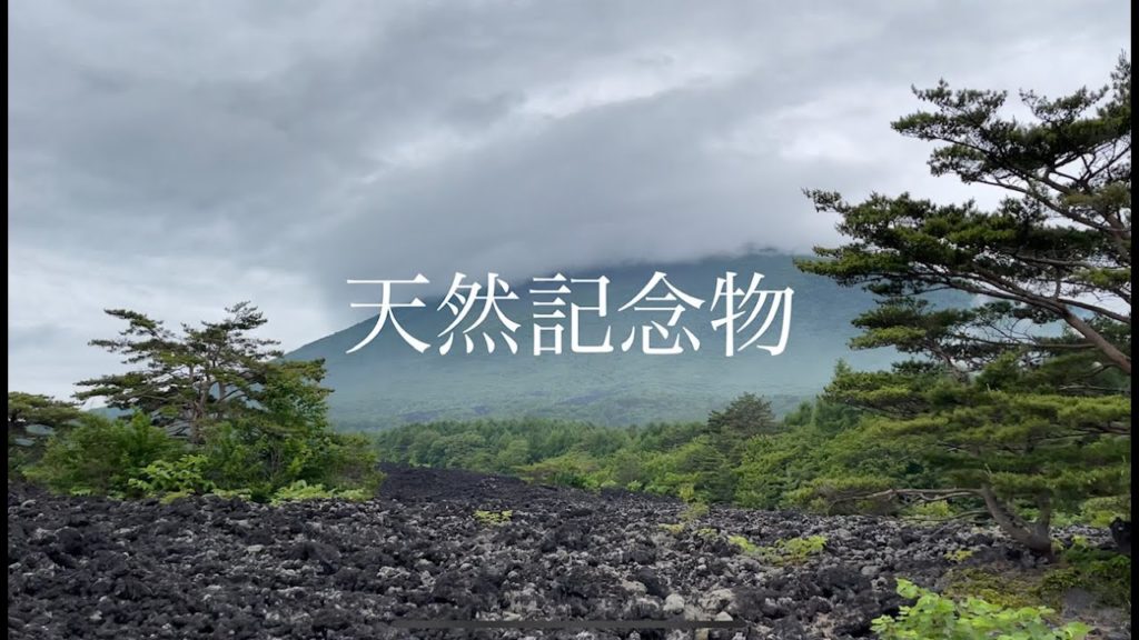 青森県名所巡り　八幡平市　焼き走り溶岩流　Yakihashiri-youganryu　Natural mounument in Aomori