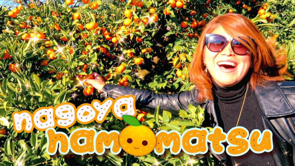 Dans une ferme de MIKAN au JAPON 🍊 Dans une ferme de MIKAN au JAPON 🍊