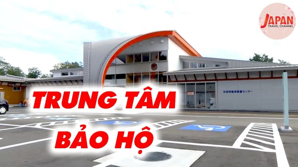 Việt Thi và Winner tham quan huấn luyện tại trung tâm bảo hộ động vật Akita | Japan Travel Channel Việt Thi và Winner tham quan huấn luyện tại trung tâm bảo hộ động vật Akita | Japan Travel Channel