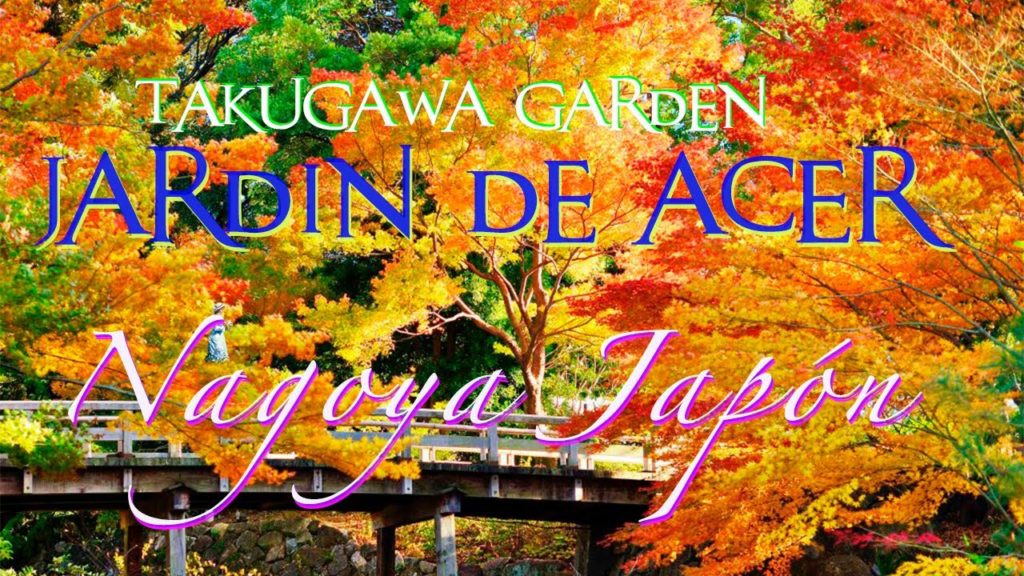 Takugawa Garden – Jardín de Acer Palmatum – Colores de otoño Takugawa Garden - Jardín de Acer Palmatum - Colores de otoño