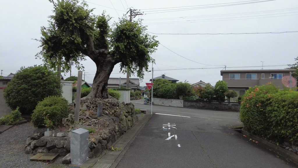 Yoshida Town - Shizuoka prefecture bicycle