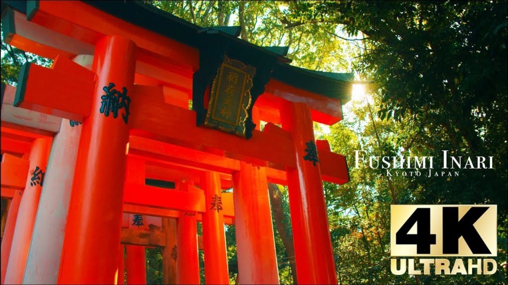 Travel Japan : Fushimi Inari taisha 4K Travel Japan : Fushimi Inari taisha 4K