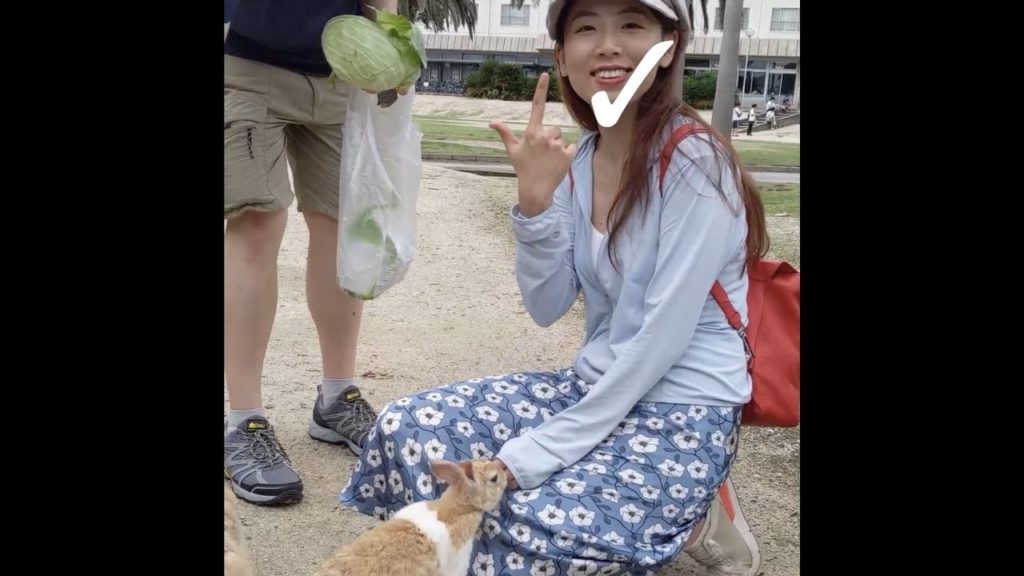 Travel Highlights & Itinerary for Okunoshima (Hiroshima, Japan) [LIFE CHECK TRAVEL]