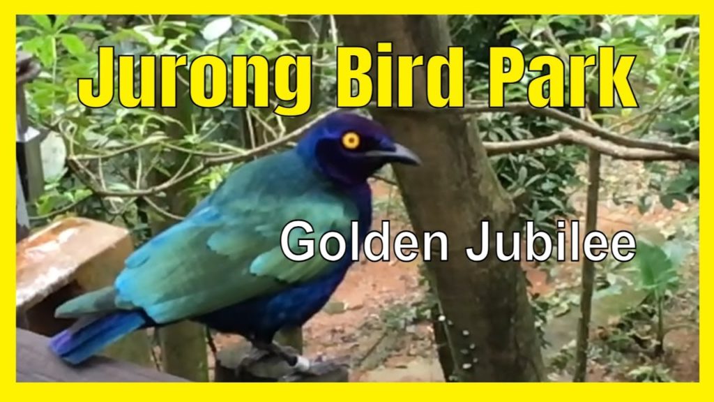 Jurong Bird Park 2020 Golden Jubilee | Explore Singapore