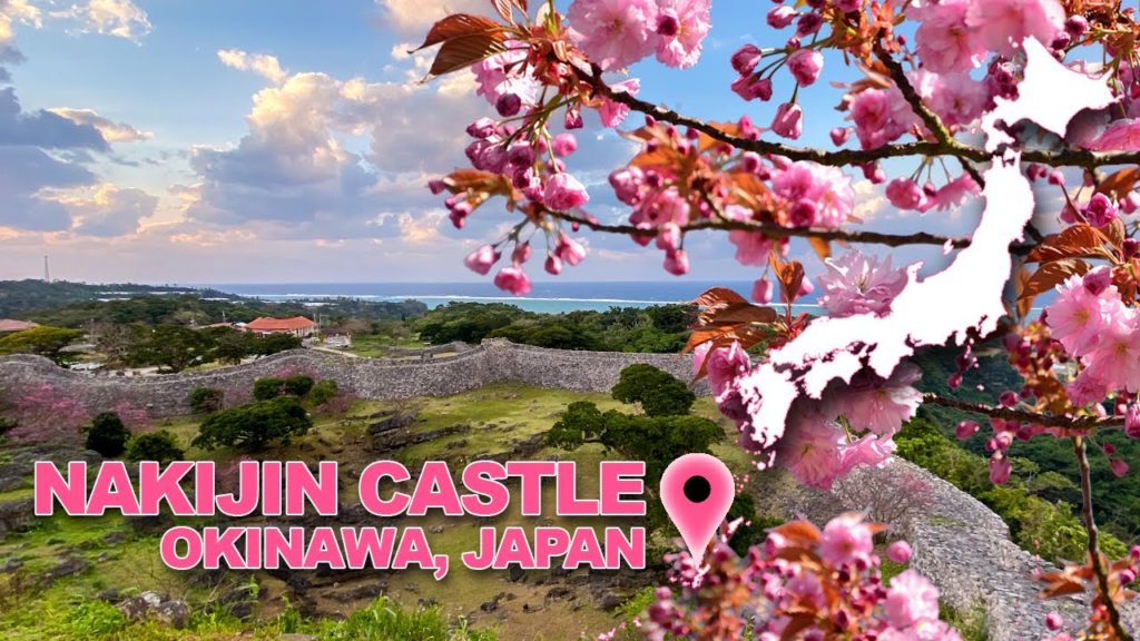 Experiencing Cherry Blossoms Inside Castle Ruins In Japan (Okinawa) Experiencing Cherry Blossoms Inside Castle Ruins In Japan (Okinawa)