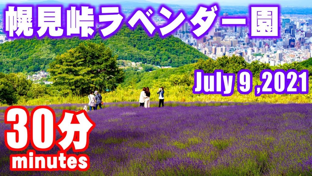 幌見峠30分　A 30-minute fixed-point recording was made on July 9, at the Horomitoge Lavender Garden.