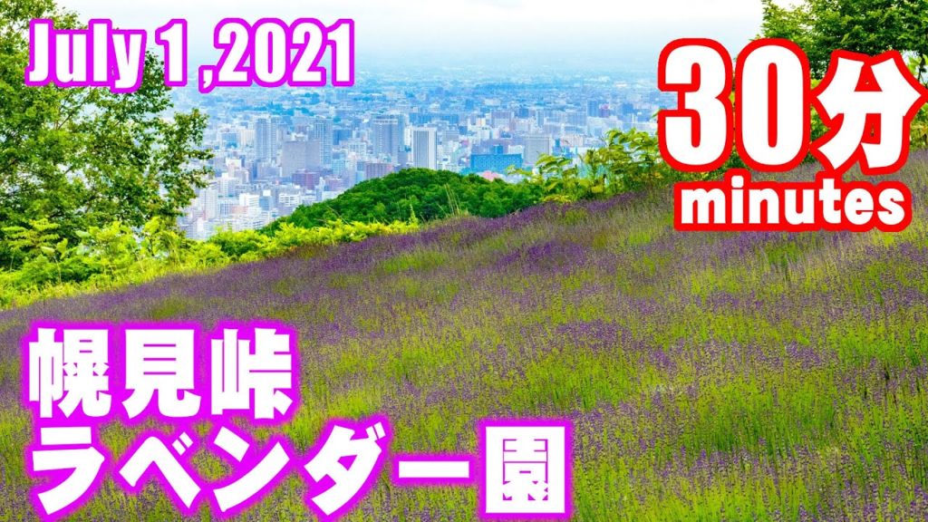 幌見峠30分　A 30-minute fixed-point recording was made on July 1, at the Horomitoge Lavender Garden.