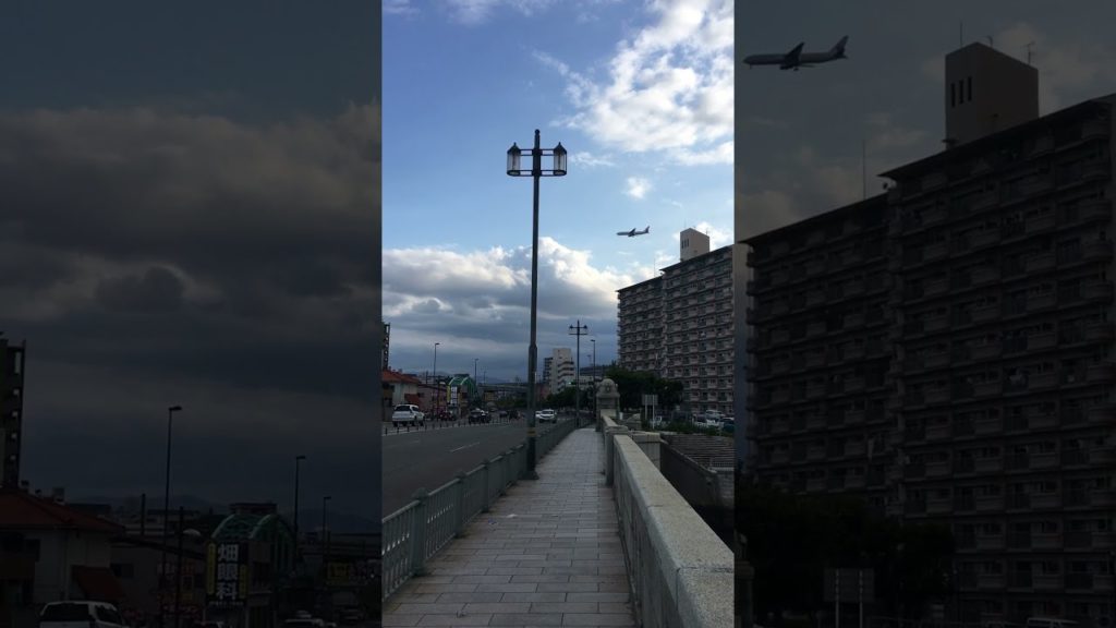 Fukuoka Day Tours gets around to find the best locations all over the city limits.