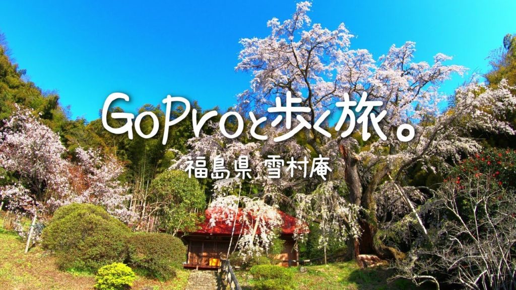 【田舎 散歩】雪村庵の散策。枝垂れ桜が咲く画僧の庵を歩く。