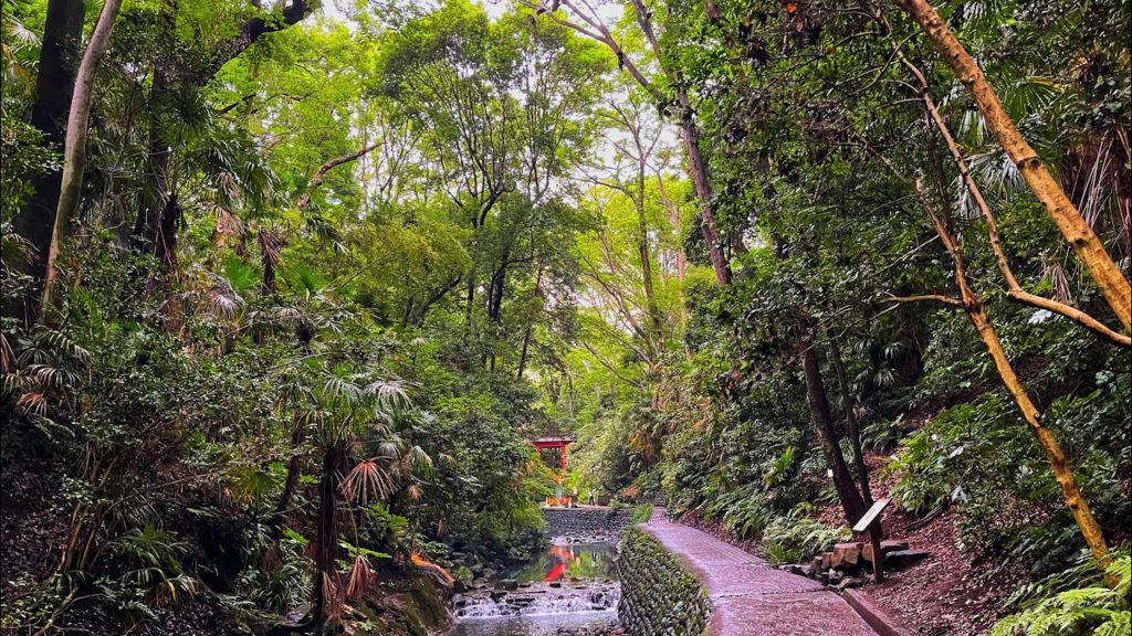 Live Tokyo Walk – Hot And Humid Afternoon At Todoroki Ravine Live Tokyo Walk - Hot And Humid Afternoon At Todoroki Ravine