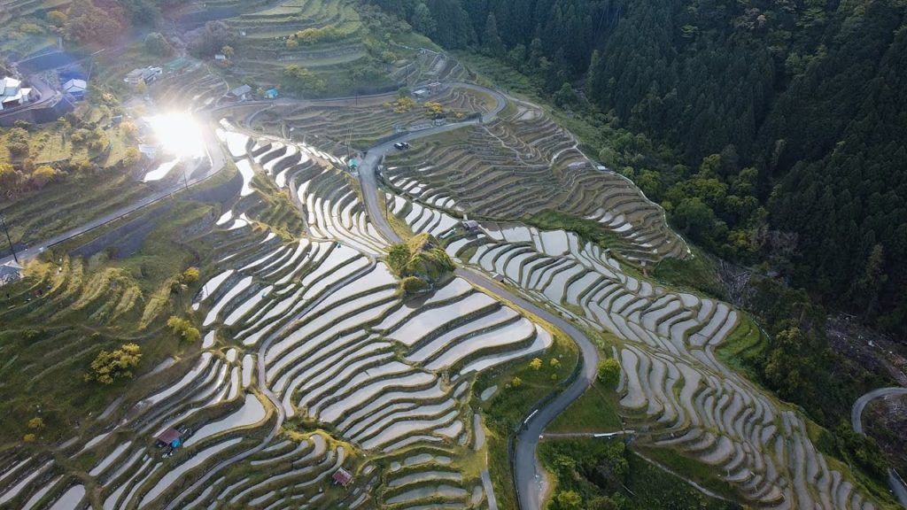 熊野古道 ｜日本の聖地巡礼 DAY4 - 5 中辺路ルート（熊野川河川敷〜丸山千枚田）20.3km  KUMANO KODO Japan Trail