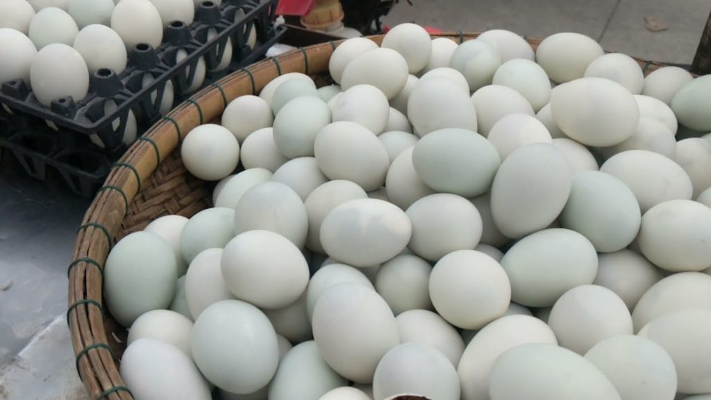 Boiled duck eggs street food | Jacky Street Food