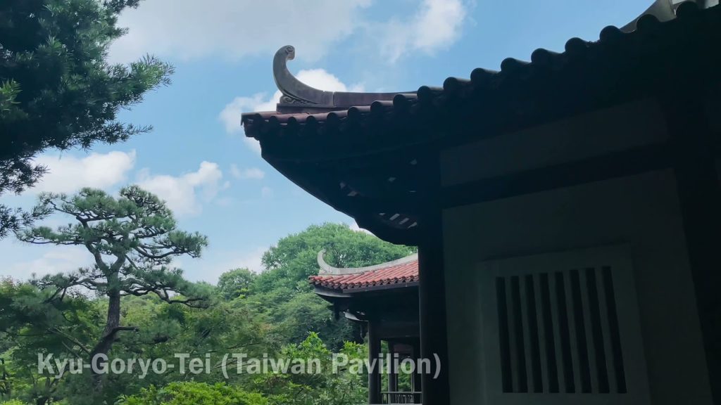 Shinjuku Gyoen National Garden I The most beautiful Japanese Garden #shinjukugyoennationalgarden Shinjuku Gyoen National Garden I The most beautiful Japanese Garden #shinjukugyoennationalgarden