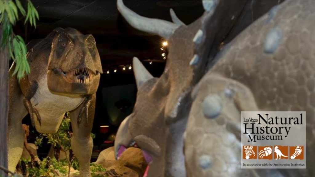 Las Vegas Natural History Museum Highlight Reel
