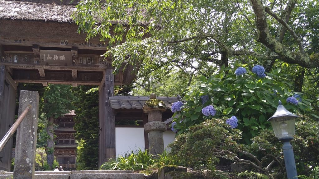 Hydrangea Day Trip : Travel in Japan : Nagano Ueda Shioda Plain 【4K Walking Around】 Hydrangea Day Trip : Travel in Japan : Nagano Ueda Shioda Plain 【4K Walking Around】