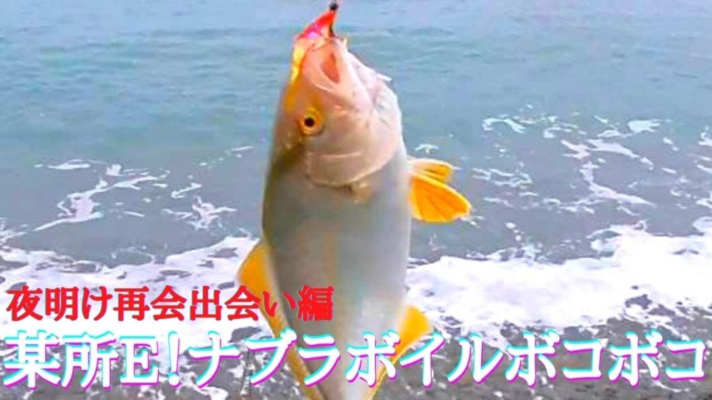 ナブラにボイルボコボコ!興奮マックスのスタート!青物入れ食い某所E!激アツの1日!! サーフトローリング 「ショアジギング」 ナブラにボイルボコボコ!興奮マックスのスタート!青物入れ食い某所E!激アツの1日!! サーフトローリング 「ショアジギング」