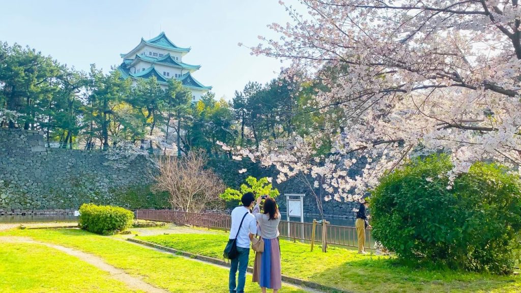 【4K】Japan Walking Tour – Beautiful Cherry Blossom at Outside Nagoya Castle 【4K】Japan Walking Tour - Beautiful Cherry Blossom at Outside Nagoya Castle