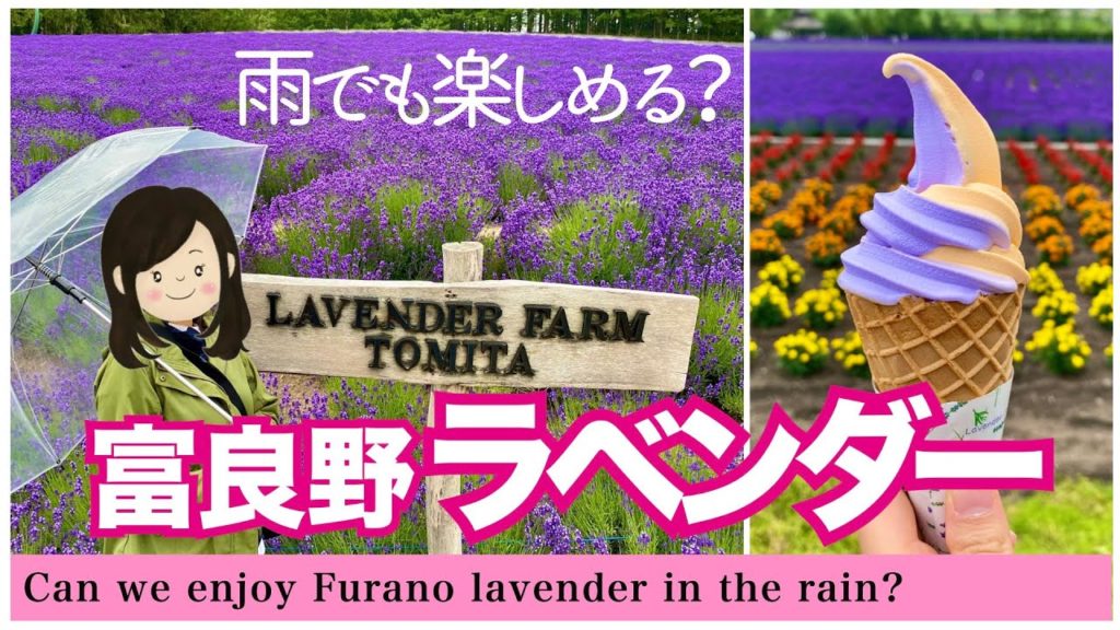 【北海道観光】富良野•ファーム富田、7月見頃のラベンダーを雨だけど突撃してみた(夏の富良野観光) 【北海道観光】富良野•ファーム富田、7月見頃のラベンダーを雨だけど突撃してみた(夏の富良野観光)