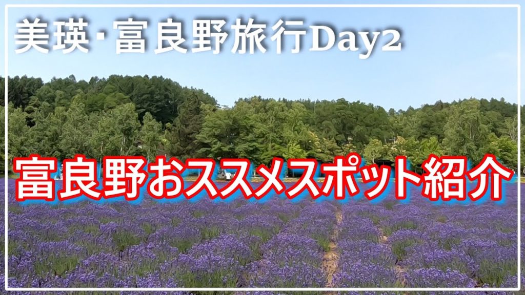 【北海道旅行】美瑛・富良野１泊２日／２日目は富良野を周ります／ファーム富田のラベンダー／ニングルテラス【Vlog】富良野チーズ工房で美味しいピザ・ニングルテラス