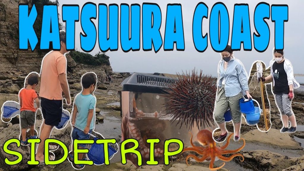 SIDETRIP FROM KATSUURA OBSERVATORY / KATSUURA CHIBA SIDETRIP FROM KATSUURA OBSERVATORY / KATSUURA CHIBA