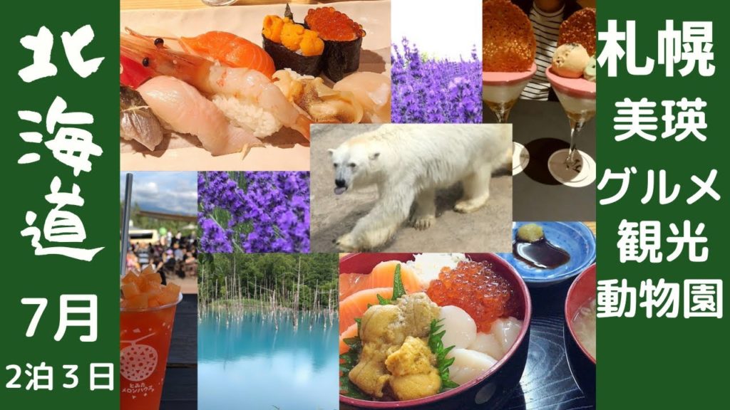 【札幌グルメ】初めての北海道旅行2泊3日 日帰りバスツアー参加してみた｜泳ぐシロクマ 泳ぐカバ