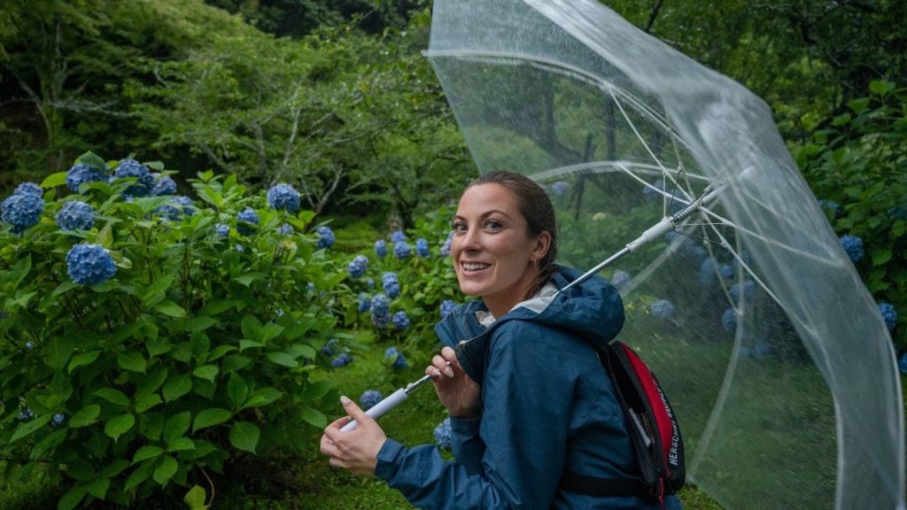 Rainy Season in rural Japan 🌧️  Lotus Fields and Hydrangeas