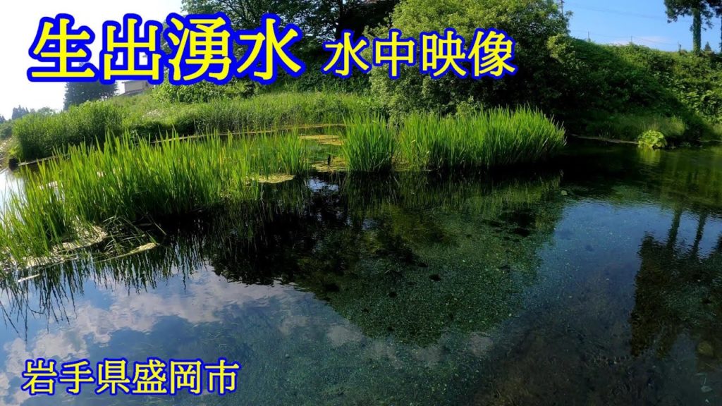 【岩手山の湧水】生出湧水にカメラをいれてみたら透明過ぎて心が洗われた【伏流水】