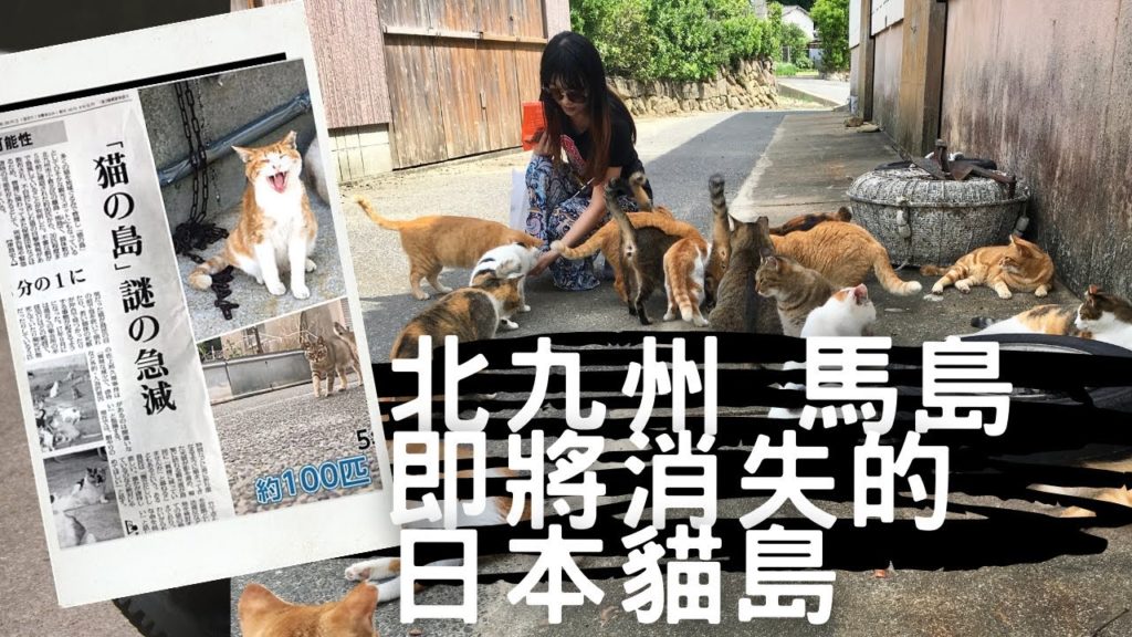即將消失的日本貓島 馬島 | The disappearing Japanese cat island  Umashima | travel vlog #1