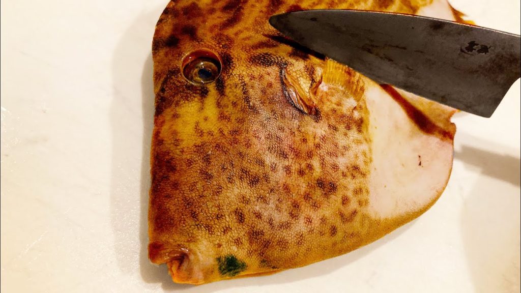 Japanese Street Food - Filefish Sashimi Seafood Travel Japan