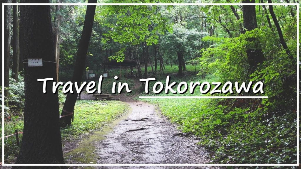 【Japan Walk】Totoro's Forest in Saitama | The Model of My Neighbor Totoro, Studio Ghibli Films