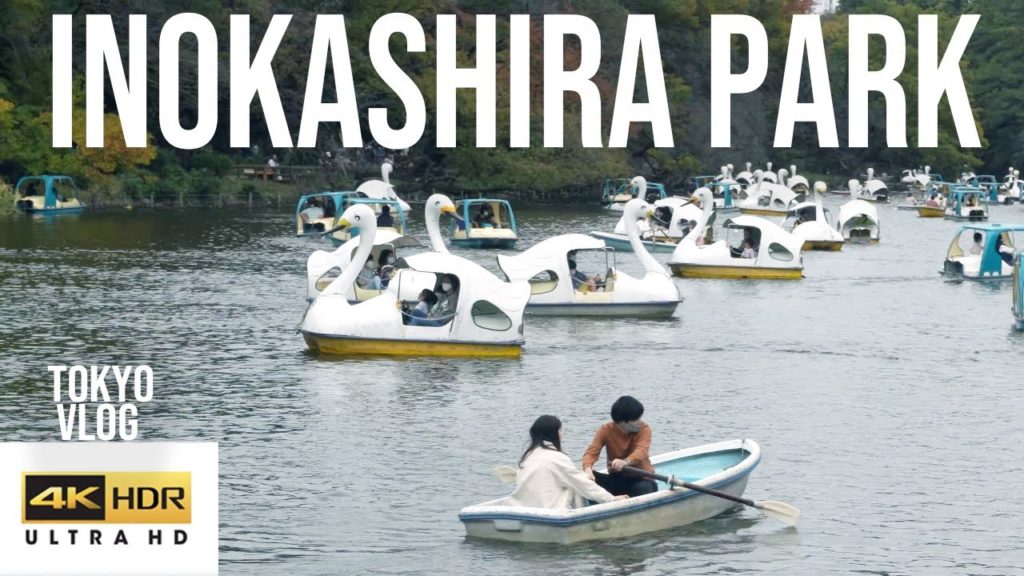 Inokashira Park Vlog【4K】| Inokashira Koen | Japan Travel Vlog Video 2020 | Tokyo travel vlog