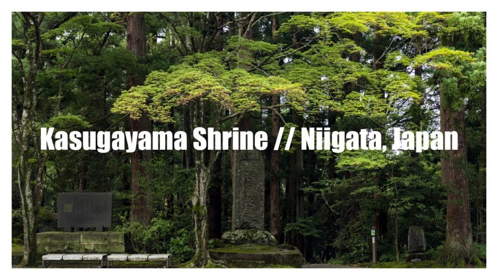 Travel Japan | Kasugayama Shrine, Niigata // 春日山神社を歩いて撮るだけ。 | Cinematic, POV, Photography