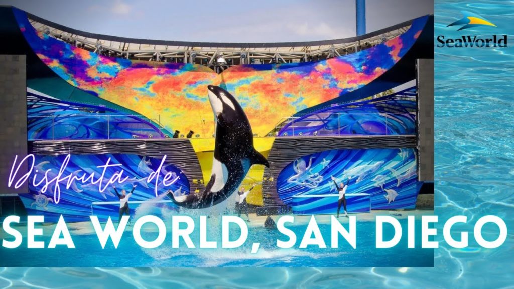 Sea World San Diego 2021: Paseo y Shows