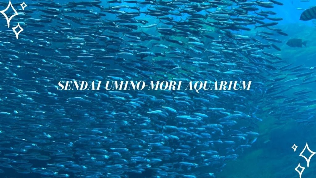 SENDAI UMINO-MORI AQUARIUM | Aquariam in Tohoku Region | Japan Travel | SENDAI UMINO-MORI AQUARIUM | Aquariam in Tohoku Region | Japan Travel |