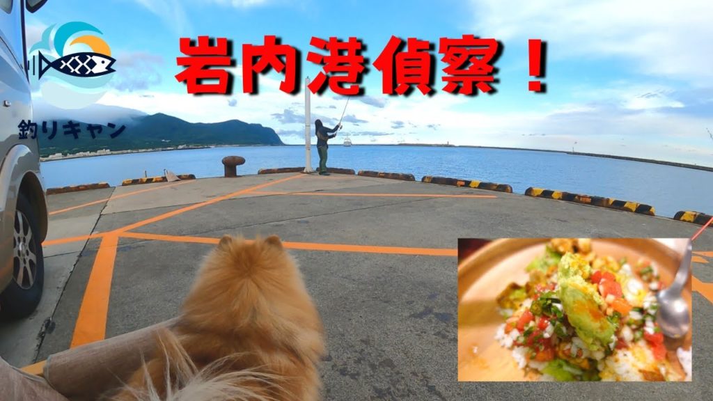 【北海道釣り】夫婦とワンコで釣り車中泊、夜はメキシカン!#18 【北海道釣り】夫婦とワンコで釣り車中泊、夜はメキシカン!#18