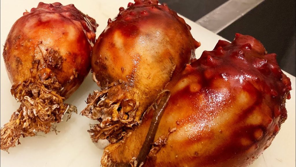 Japanese Street Food - SEA SQUIRT Sashimi Seafood Sea Pineapple