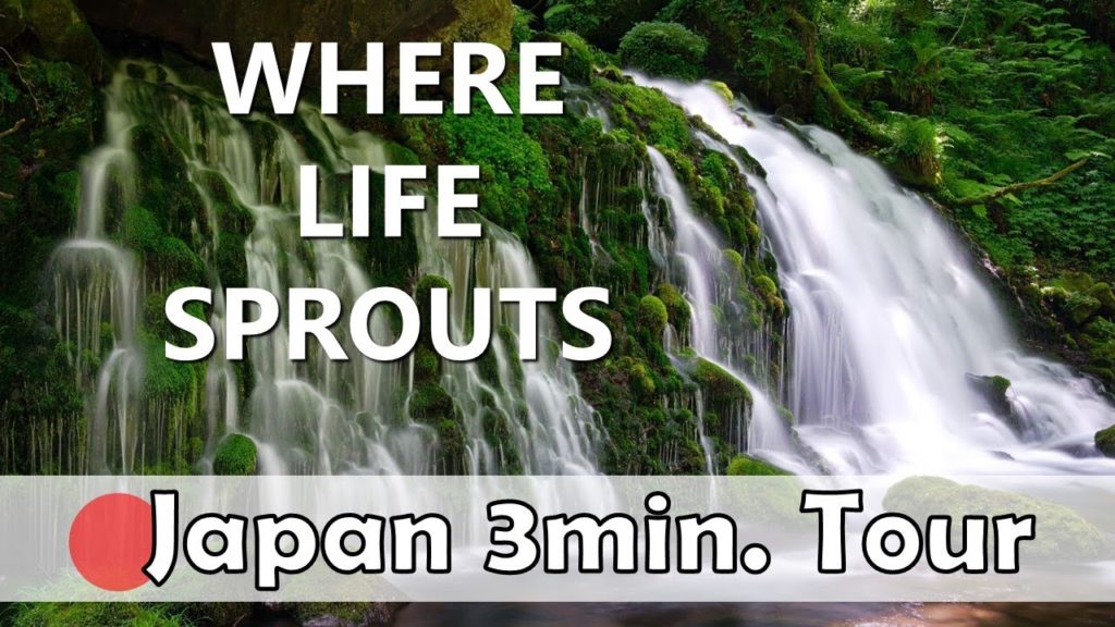 【Japan travel guide#33】Akita(2) Mototaki-fukuryusui (Mototaki Falls) (Nikon Z6, DJI Pocket 2)