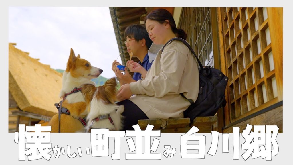 【車中泊】岐阜旅 行きたかった白川郷をゆっくり散策(6型ハイエース/バンライフ) 【車中泊】岐阜旅 行きたかった白川郷をゆっくり散策(6型ハイエース/バンライフ)