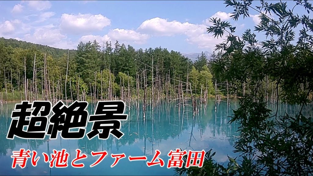 【富良野美瑛ど定番】青い池とファーム富田