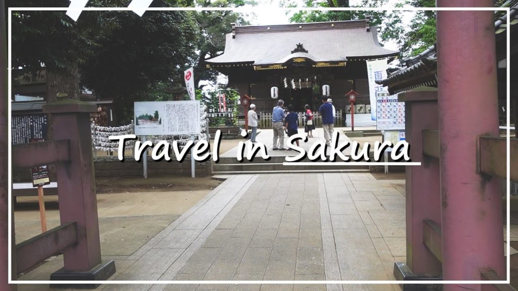 【Japan Walk】Sakura City in Chiba | The Small City That Offers Historic Sites and Natural Beauty
