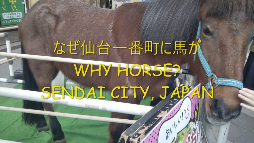 なぜ仙台一番町に馬が  WHY HORSE, SENDAI CITY, JAPAN