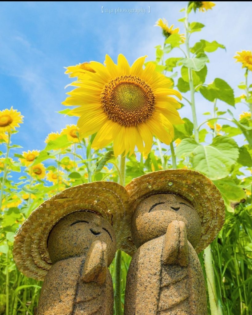 All smiles when the sun shines! 
: @aug4_ackey_x8i
-----⁣⠀
Yamamoto, #Miyagi
....