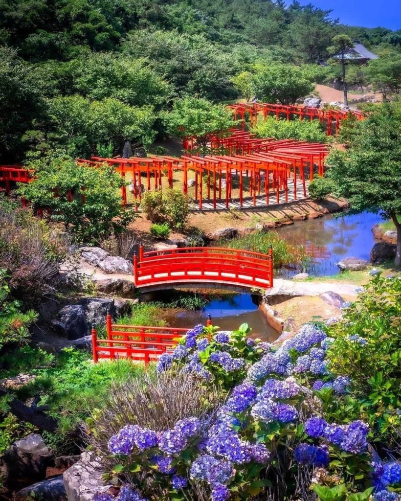 Life in a vivid world of color 
This scene of summer hues comes straight from Ta...