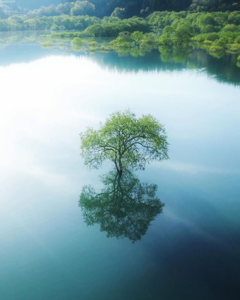 Swimming lonely tree 
With caravan parks, park golf courses, and canoe boarding ...