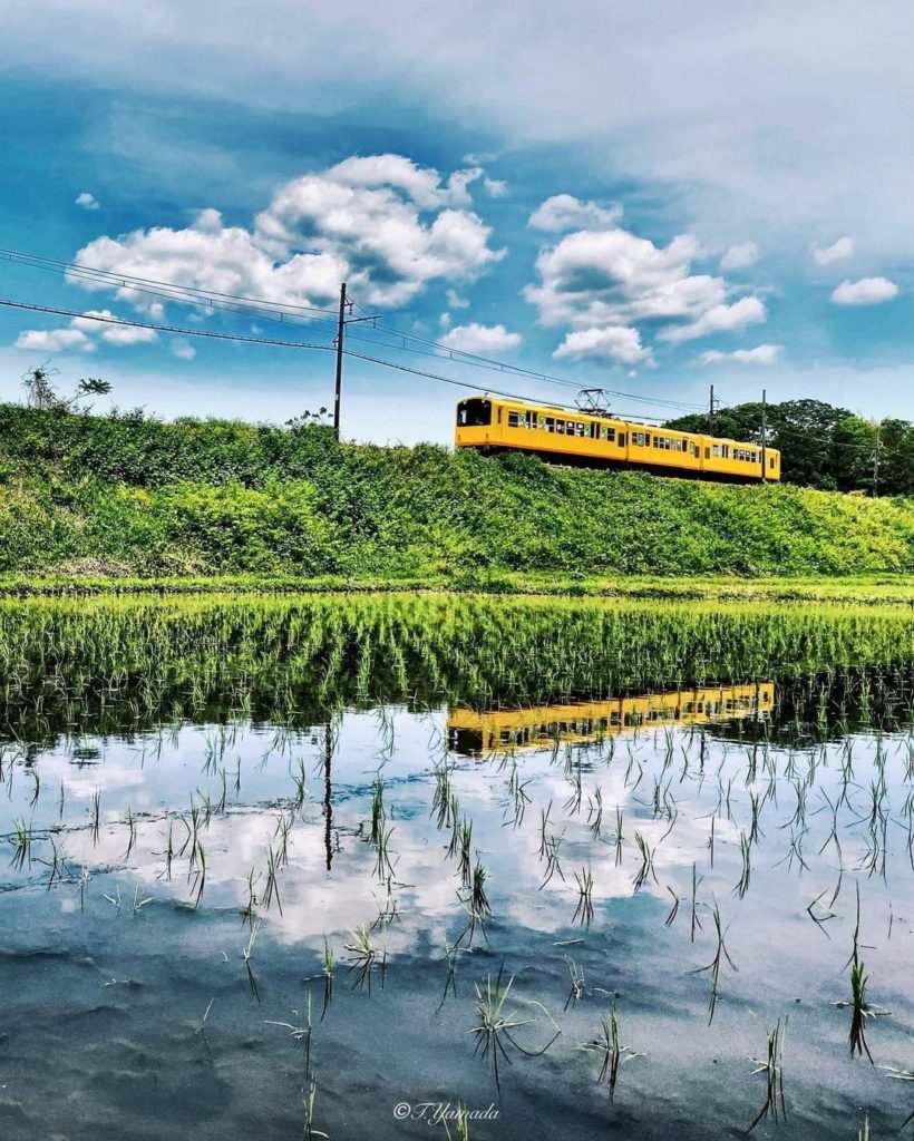 Have you ever ridden on a local train like this? 
Next time when you can visit M...